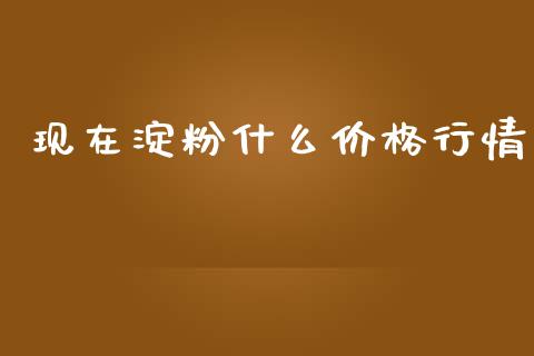 现在淀粉什么价格行情_https://wap.kuaijiepai.net_财务风控_第1张