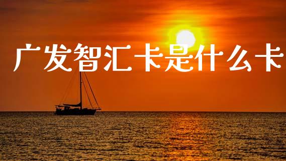 广发智汇卡是什么卡_https://wap.kuaijiepai.net_财务风控_第1张