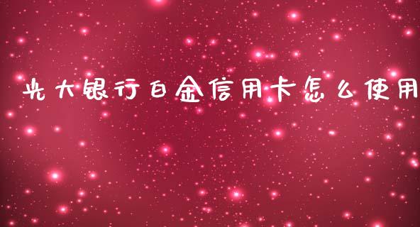 光大银行白金信用卡怎么使用_https://wap.kuaijiepai.net_财务风控_第1张