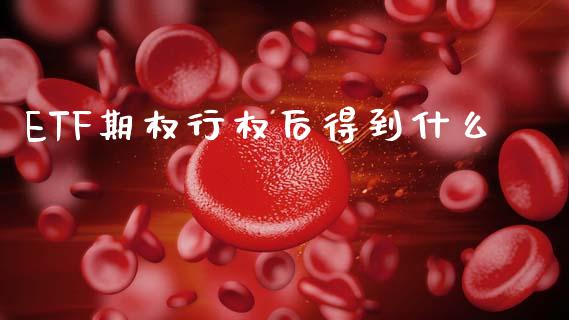 ETF期权行权后得到什么_外汇交易_第1张_金融科技_财务风控_外汇交易_财务咨询 ETF期权行权后得到什么_https://wap.kuaijiepai.net_外汇交易_第1张