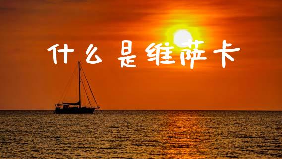什么是维萨卡_https://wap.kuaijiepai.net_财务咨询_第1张