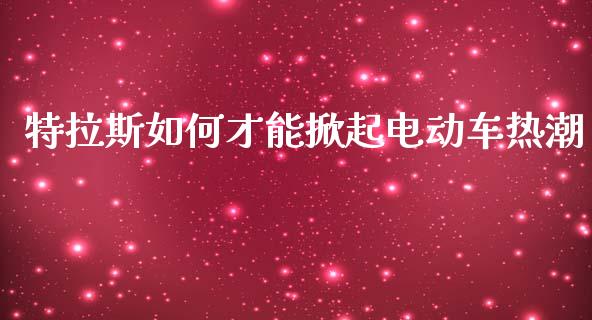 特拉斯如何才能掀起电动车热潮_https://wap.kuaijiepai.net_财务风控_第1张