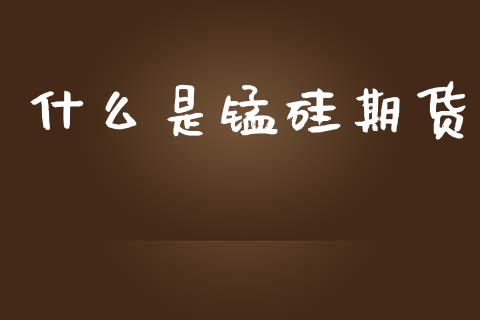什么是锰硅期货_https://wap.kuaijiepai.net_外汇交易_第1张