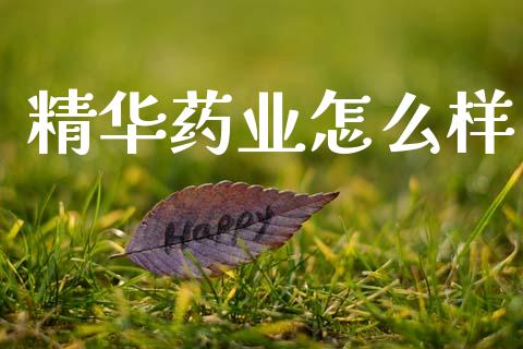 精华药业怎么样_https://wap.kuaijiepai.net_财务风控_第1张