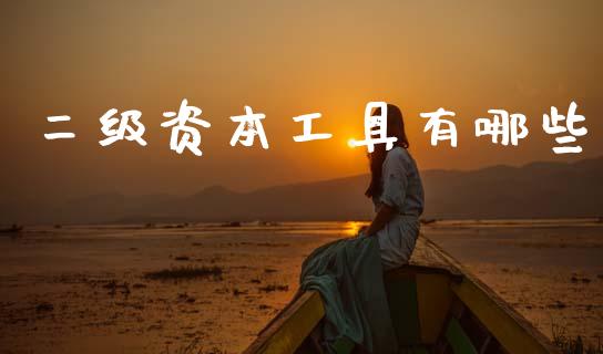 二级资本工具有哪些_https://wap.kuaijiepai.net_财务风控_第1张