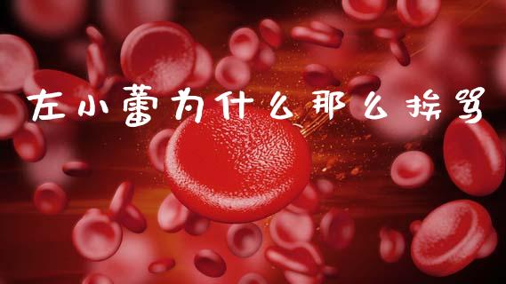 左小蕾为什么那么挨骂_https://wap.kuaijiepai.net_财务咨询_第1张