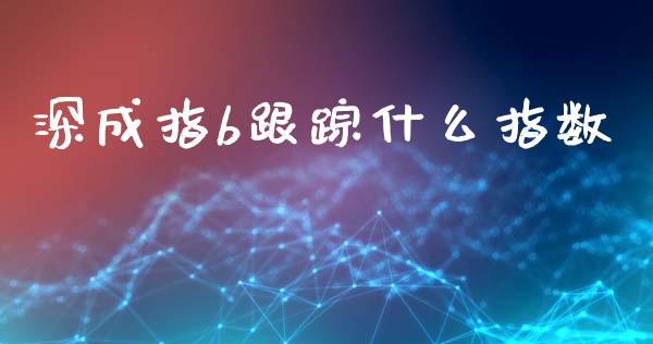 深成指b跟踪什么指数_https://wap.kuaijiepai.net_财务咨询_第1张