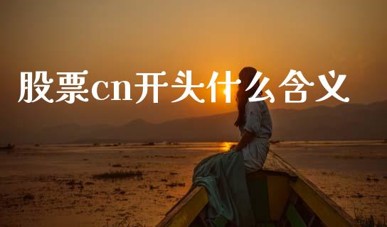 股票cn开头什么含义_金融科技_第1张_金融科技_财务风控_外汇交易_财务咨询 股票cn开头什么含义_https://wap.kuaijiepai.net_金融科技_第1张