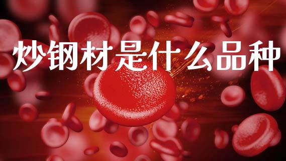 炒钢材是什么品种_https://wap.kuaijiepai.net_财务风控_第1张