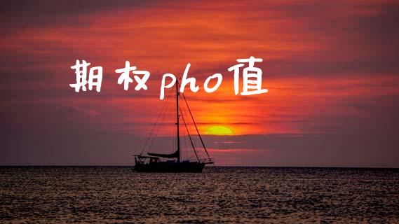 期权pho值_https://wap.kuaijiepai.net_财务咨询_第1张