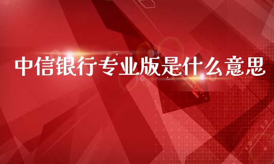 中信银行专业版是什么意思_https://wap.kuaijiepai.net_财务咨询_第1张