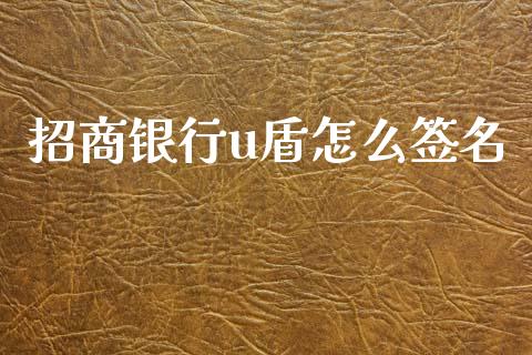 招商银行u盾怎么签名_https://wap.kuaijiepai.net_财务咨询_第1张