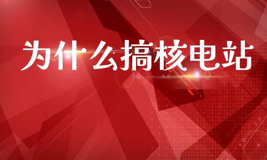 为什么搞核电站_https://wap.kuaijiepai.net_财务咨询_第1张