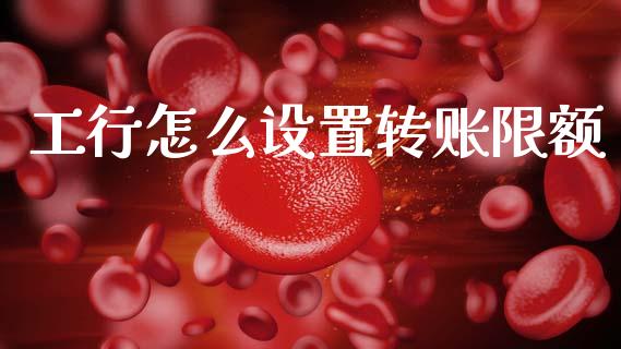 工行怎么设置转账限额_https://wap.kuaijiepai.net_财务风控_第1张