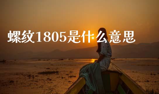 螺纹1805是什么意思_https://wap.kuaijiepai.net_财务风控_第1张