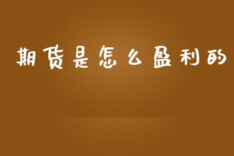 期货是怎么盈利的_https://wap.kuaijiepai.net_财务咨询_第1张