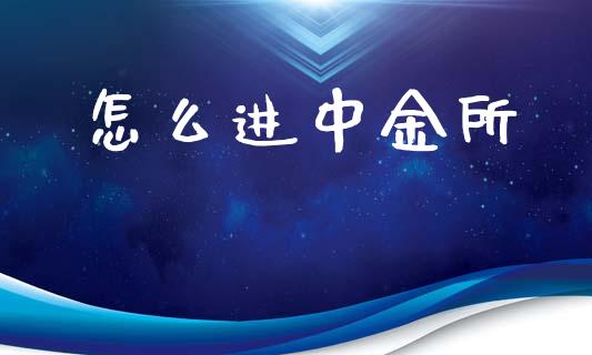 怎么进中金所_https://wap.kuaijiepai.net_外汇交易_第1张