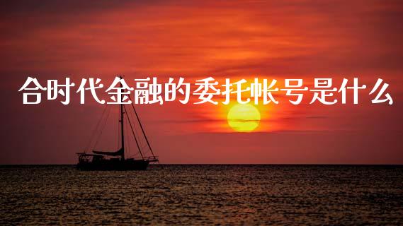 合时代金融的委托帐号是什么_https://wap.kuaijiepai.net_财务风控_第1张