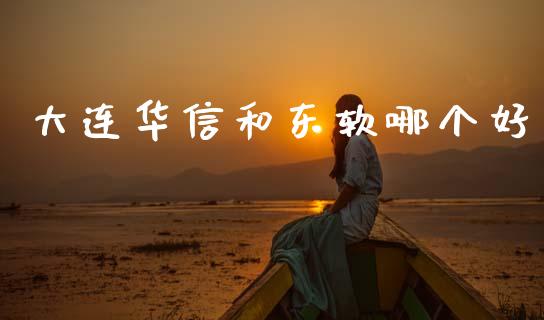 大连华信和东软哪个好_https://wap.kuaijiepai.net_金融科技_第1张