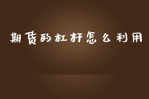 期货的杠杆怎么利用_https://wap.kuaijiepai.net_外汇交易_第1张