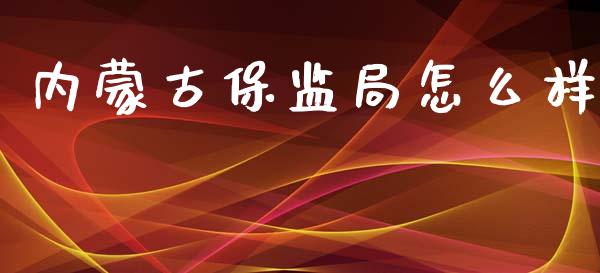 内蒙古保监局怎么样_https://wap.kuaijiepai.net_财务风控_第1张