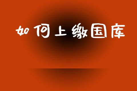 如何上缴国库_https://wap.kuaijiepai.net_财务风控_第1张
