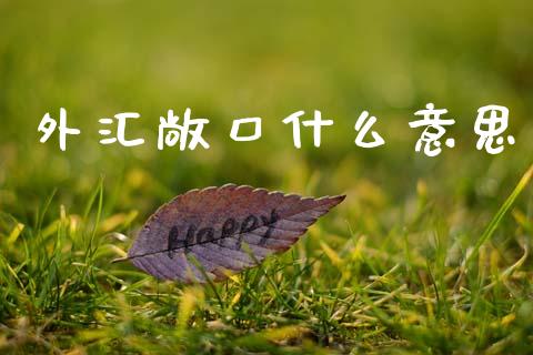 外汇敞口什么意思_https://wap.kuaijiepai.net_财务咨询_第1张