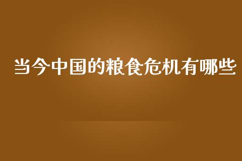 当今中国的粮食危机有哪些_外汇交易_第1张_金融科技_财务风控_外汇交易_财务咨询 当今中国的粮食危机有哪些_https://wap.kuaijiepai.net_外汇交易_第1张