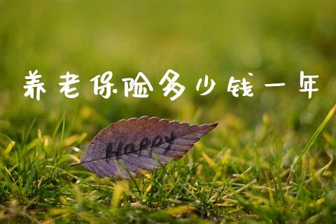养老保险多少钱一年_https://wap.kuaijiepai.net_外汇交易_第1张