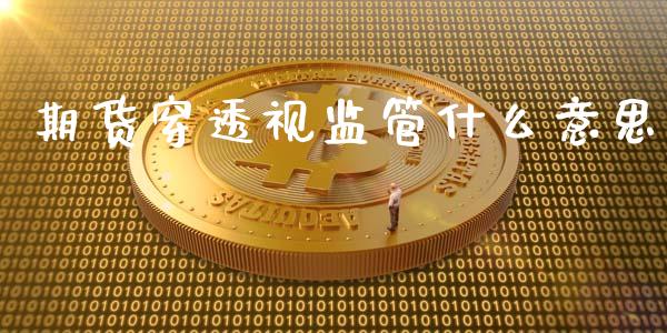 期货穿透视监管什么意思_https://wap.kuaijiepai.net_金融科技_第1张