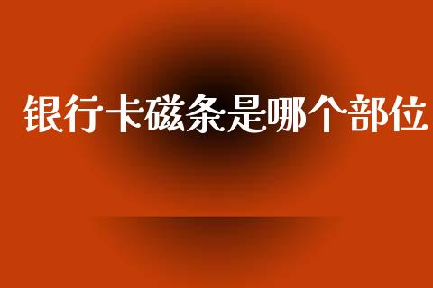 银行卡磁条是哪个部位_https://wap.kuaijiepai.net_财务风控_第1张