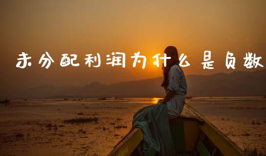 未分配利润为什么是负数_https://wap.kuaijiepai.net_财务风控_第1张