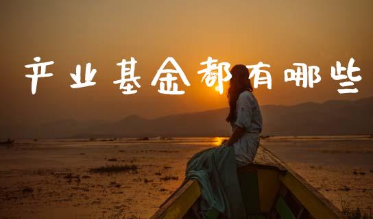 产业基金都有哪些_https://wap.kuaijiepai.net_金融科技_第1张