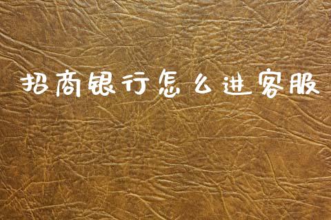 招商银行怎么进客服_https://wap.kuaijiepai.net_金融科技_第1张