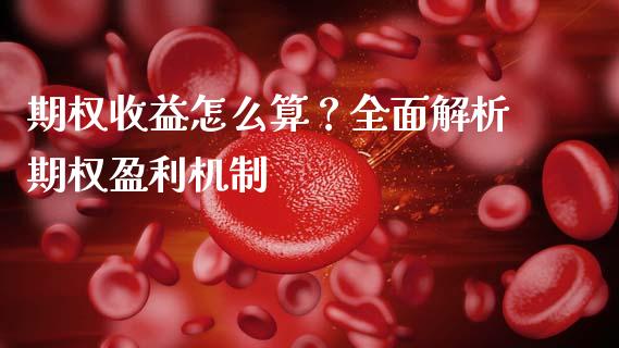 期权收益怎么算？全面解析期权盈利机制_https://wap.kuaijiepai.net_金融科技_第1张
