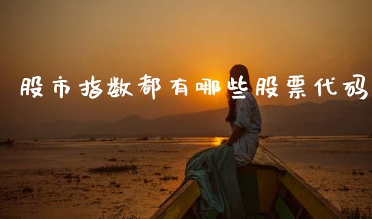 股市指数都有哪些股票代码_https://wap.kuaijiepai.net_财务咨询_第1张