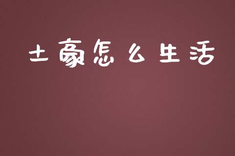 土豪怎么生活_https://wap.kuaijiepai.net_财务咨询_第1张