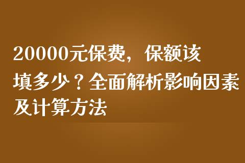 20000元保费，保额该填多少？全面解析影响因素及计算方法_https://wap.kuaijiepai.net_财务风控_第1张