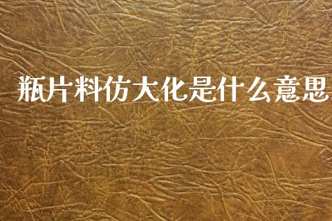 瓶片料仿大化是什么意思_https://wap.kuaijiepai.net_财务风控_第1张