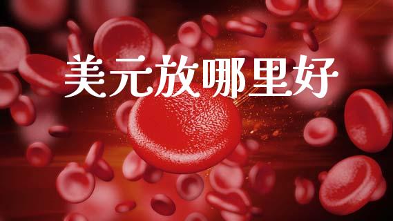 美元放哪里好_https://wap.kuaijiepai.net_金融科技_第1张