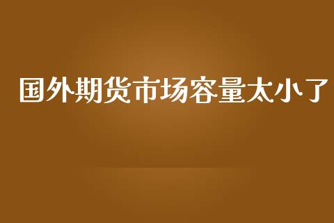 国外期货市场容量太小了_https://wap.kuaijiepai.net_财务风控_第1张