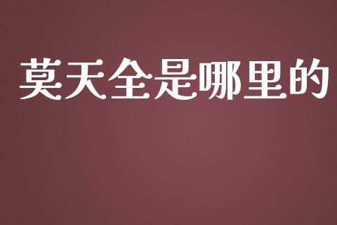 莫天全是哪里的_https://wap.kuaijiepai.net_财务风控_第1张