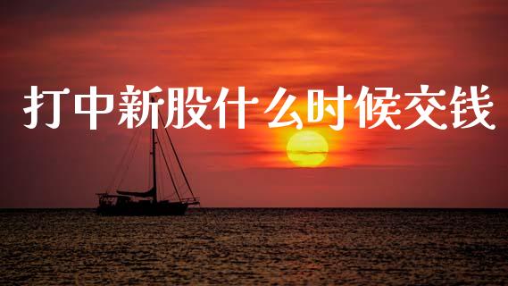 打中新股什么时候交钱_https://wap.kuaijiepai.net_财务风控_第1张