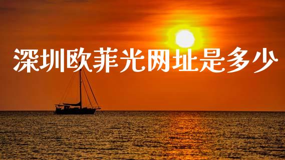 深圳欧菲光网址是多少_https://wap.kuaijiepai.net_金融科技_第1张