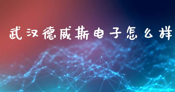 武汉德威斯电子怎么样_https://wap.kuaijiepai.net_财务咨询_第1张