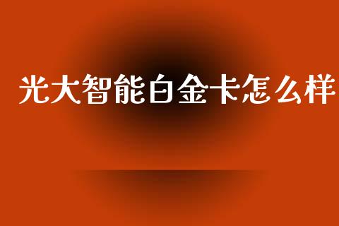 光大智能白金卡怎么样_https://wap.kuaijiepai.net_财务风控_第1张