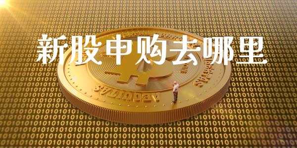 新股申购去哪里_https://wap.kuaijiepai.net_外汇交易_第1张