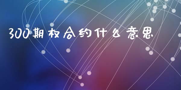 300期权合约什么意思_https://wap.kuaijiepai.net_财务咨询_第1张