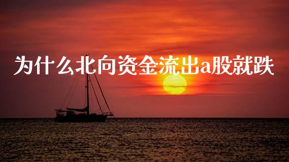 为什么北向资金流出a股就跌_https://wap.kuaijiepai.net_财务咨询_第1张