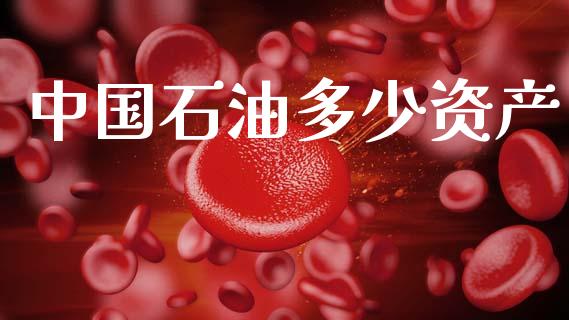 中国石油多少资产_https://wap.kuaijiepai.net_财务咨询_第1张